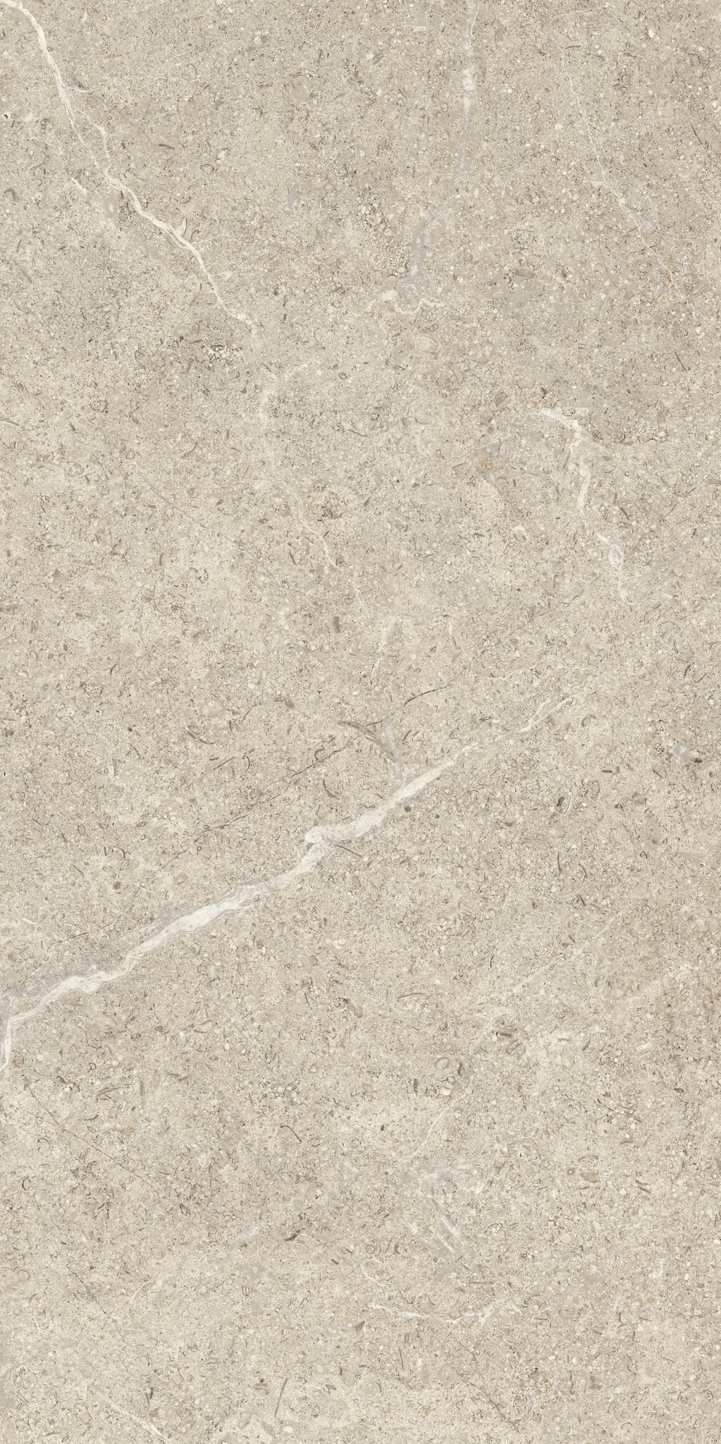 Holystone Beige 122x61x2 cm 