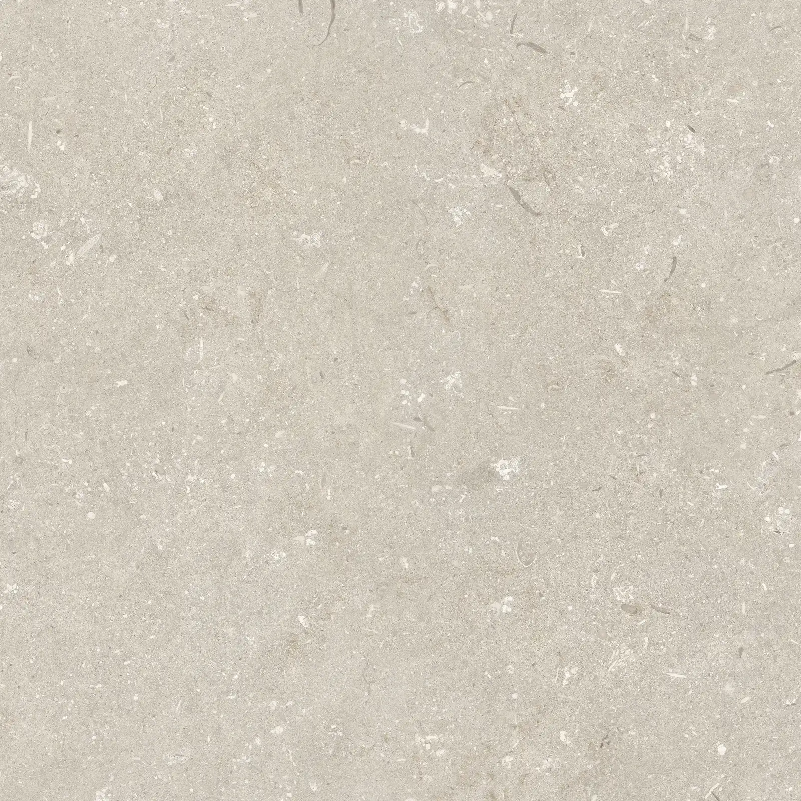 Shellstone Beige 3 cm 
