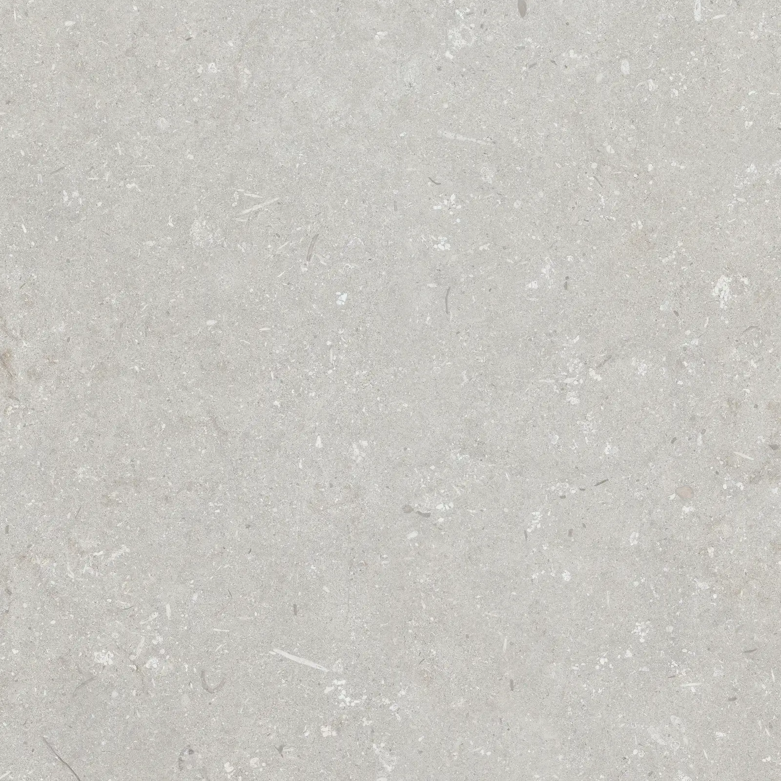 Shellstone Bianco