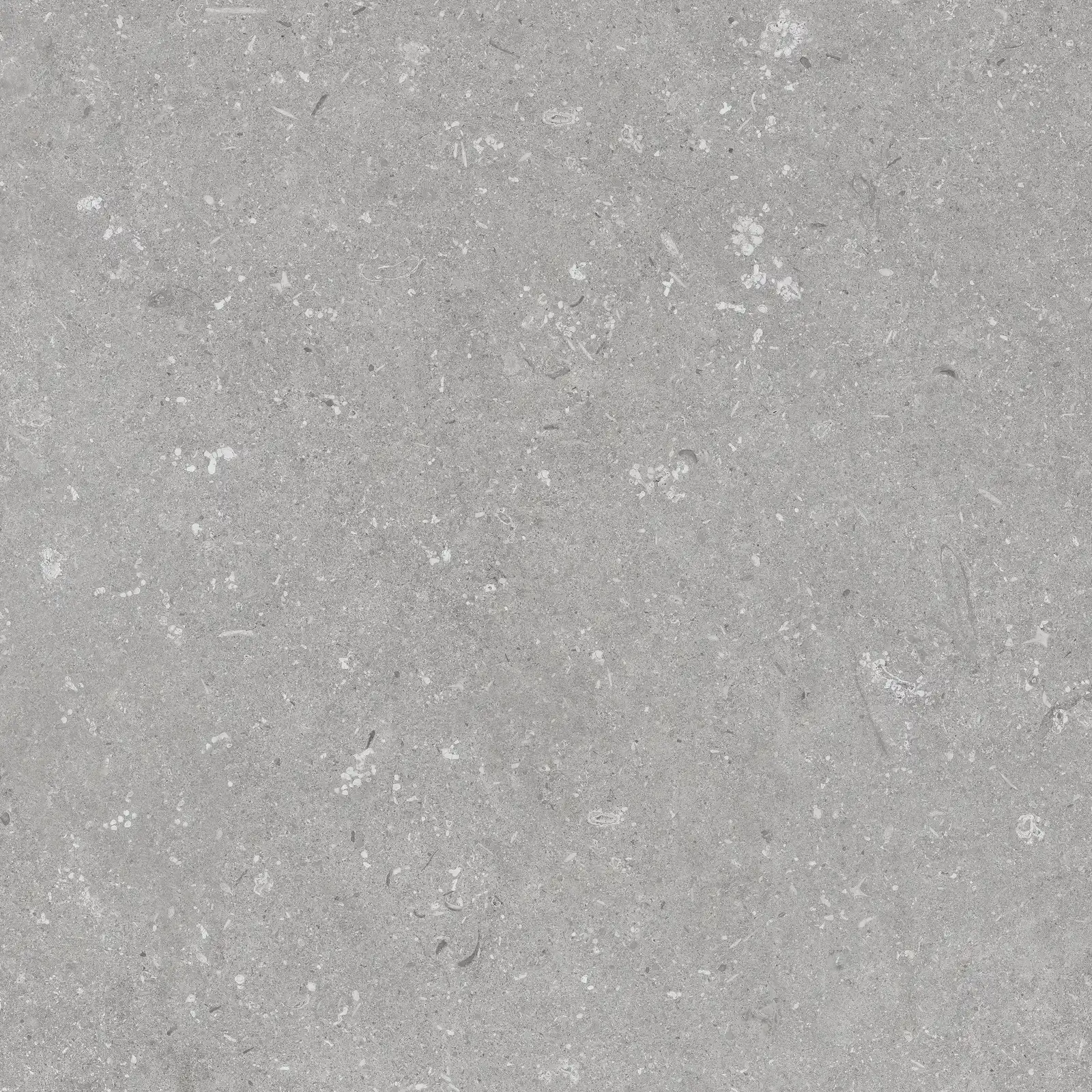 Shellstone Grigio